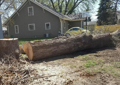 Tree removal and trimming by Hansen Contracting