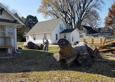 Tree removal and trimming by Hansen Contracting