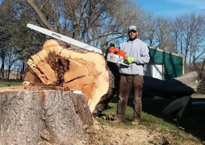 Tree removal and trimming by Hansen Contracting