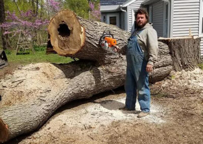 Tree removal and trimming by Hansen Contracting